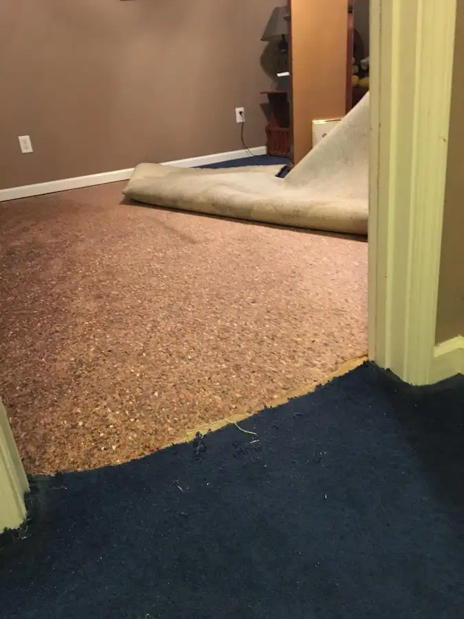 Carpet pad removal revealing water damage during Water Mitigation Services in East Windsor